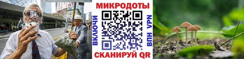 Псилоцибиновые грибы ЛСД  как найти наркотики  Лахденпохья 